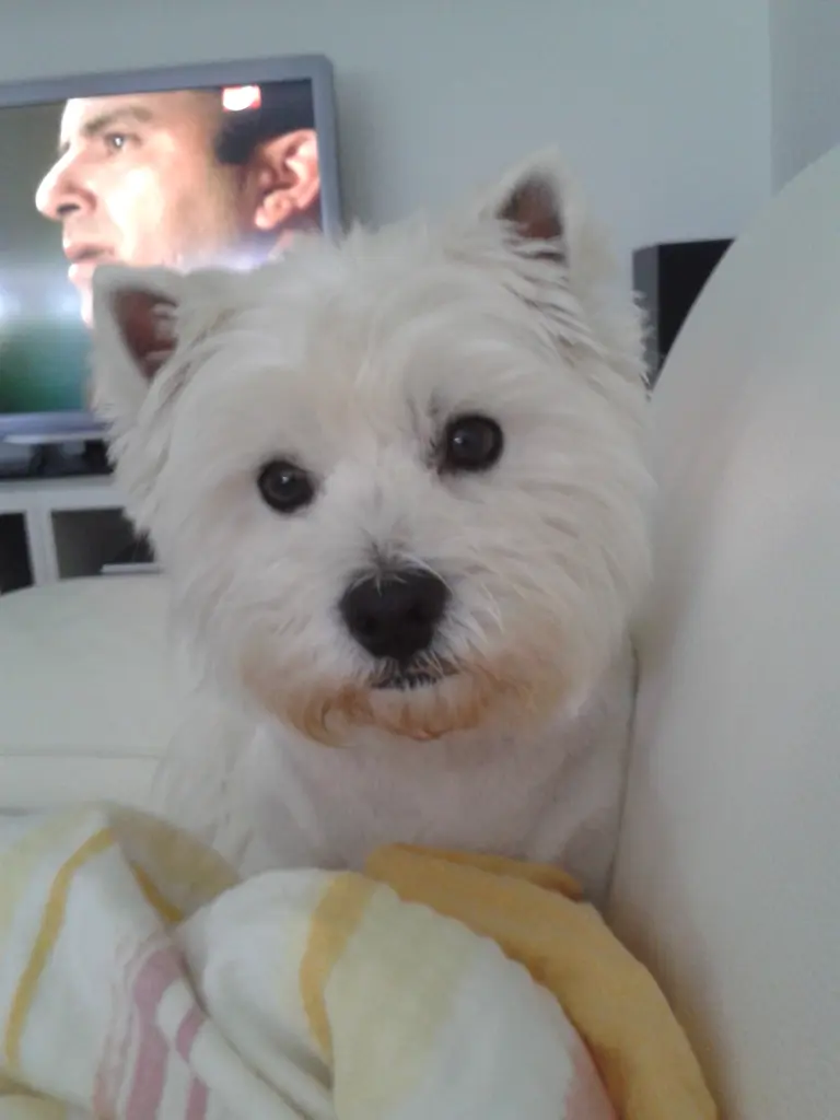 Condolence image of Sigrid