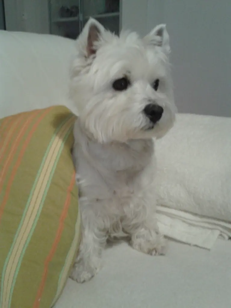 Condolence image of Sigrid