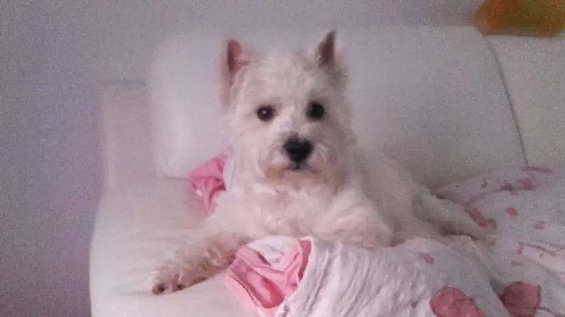 Condolence image of Sigrid