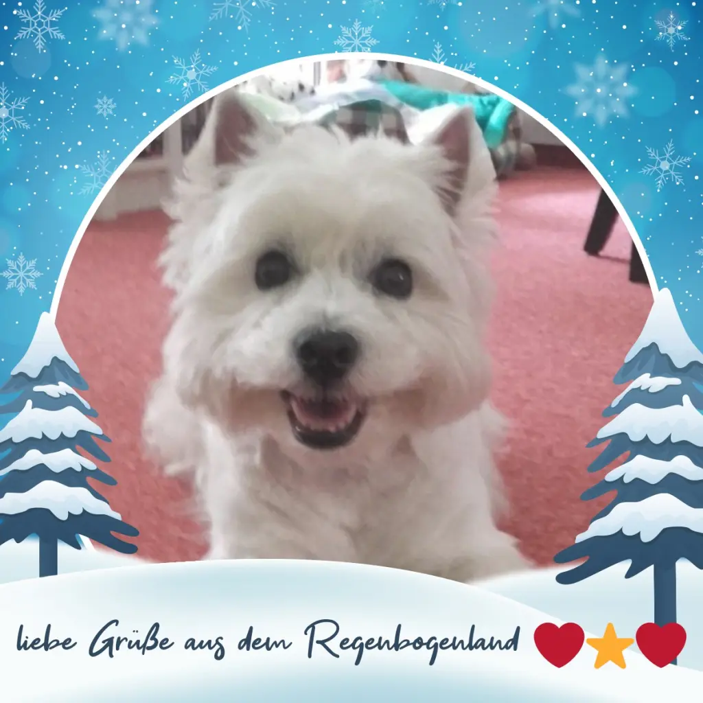 Condolence image of ❤️Grüße zum 3. Advent❤️