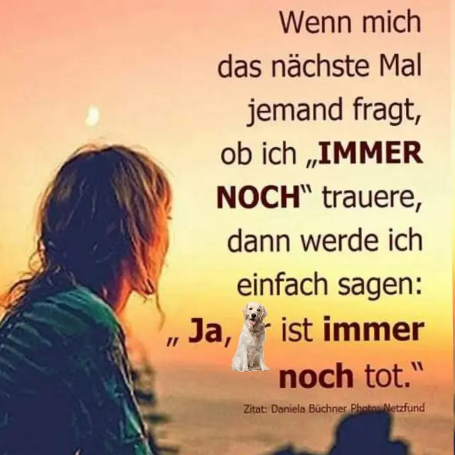 Condolence image of Für Lili ♥️