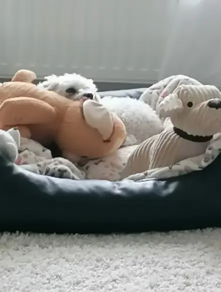 Condolence image of ❤️Wochenend Grüße ❤️