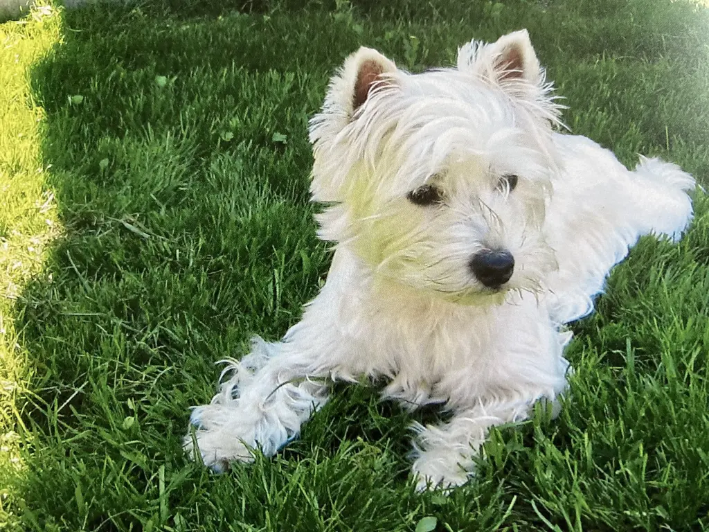 Condolence image of Unbekannt
