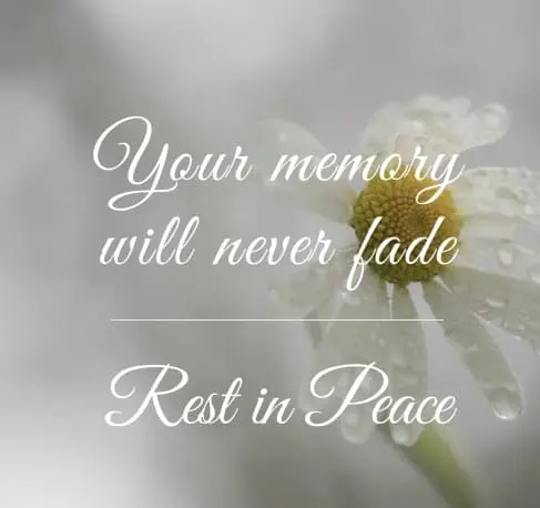 Condolence image of Gaby mit Snowy im Herzen 
