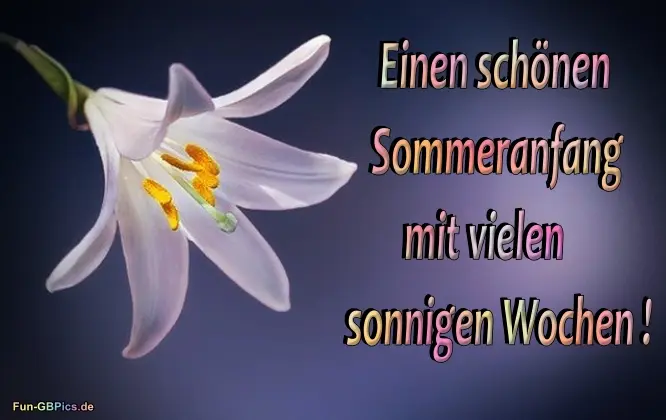 Condolence image of ❤️ Sommersonnenwende ❤️