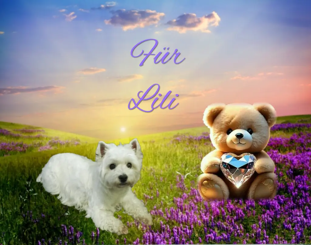 Condolence image of ♥️Liebe bleibt Liebe ♥️