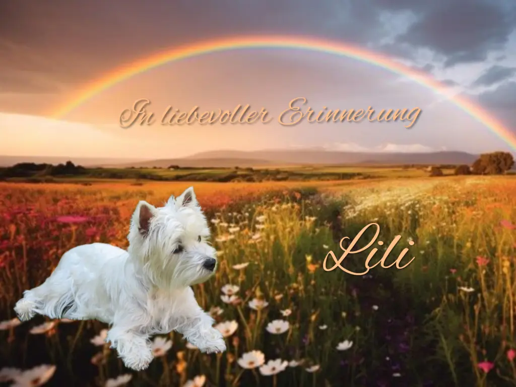 Condolence image of ❤️Immer im Herzen ❤️