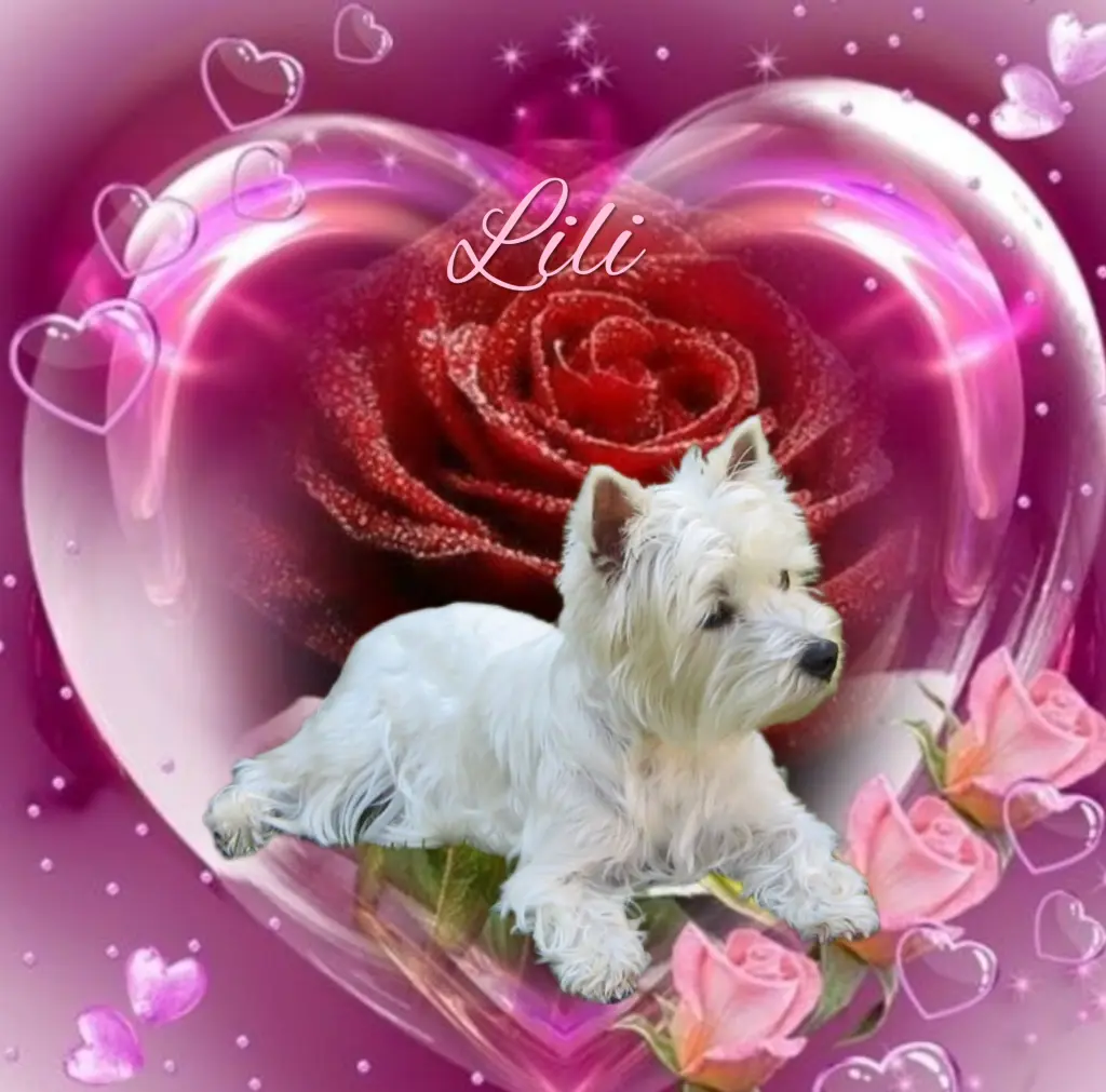 Condolence image of ♡
