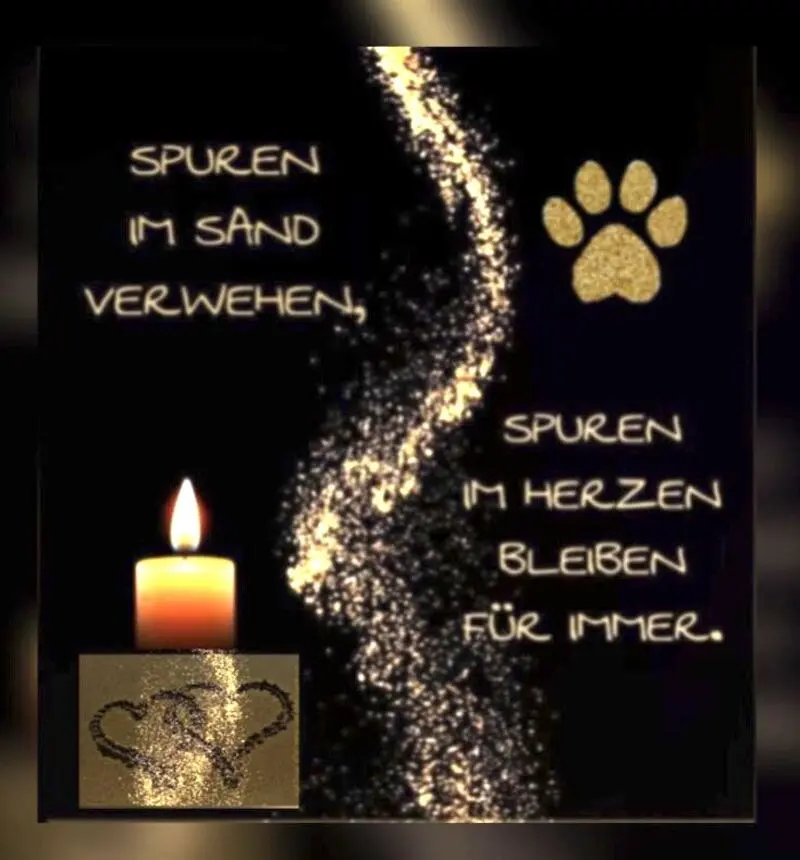 Condolence image of ❤️ Lili ❤️ für immer im Herzen ❤️
