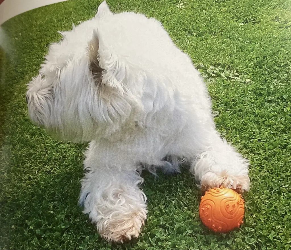 Condolence image of Unbekannt