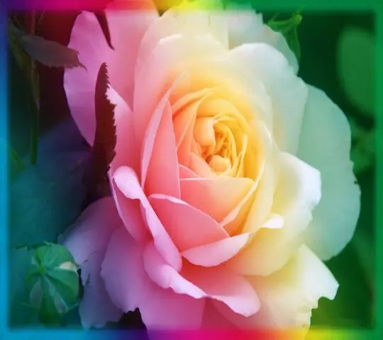 Condolence image of In liebevollem Gedenken♡ 
