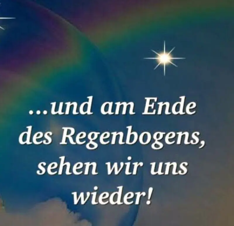 Condolence image of Tag der Regenbogenbrücke