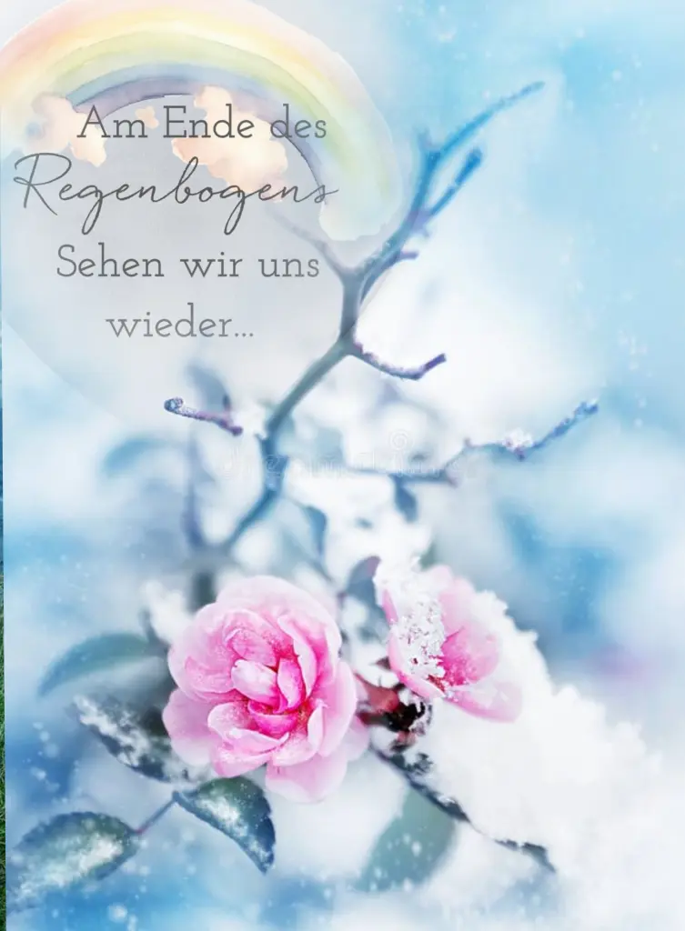Condolence image of Gaby mit ♡☙Snowy☙♡