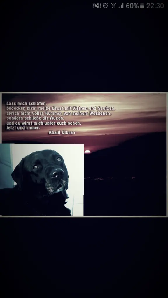 Condolence image of Marion mit Capper  im Herzen 