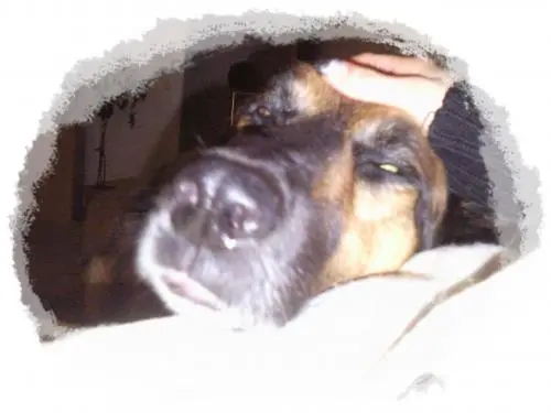 Image from Zeus (meine Keule)