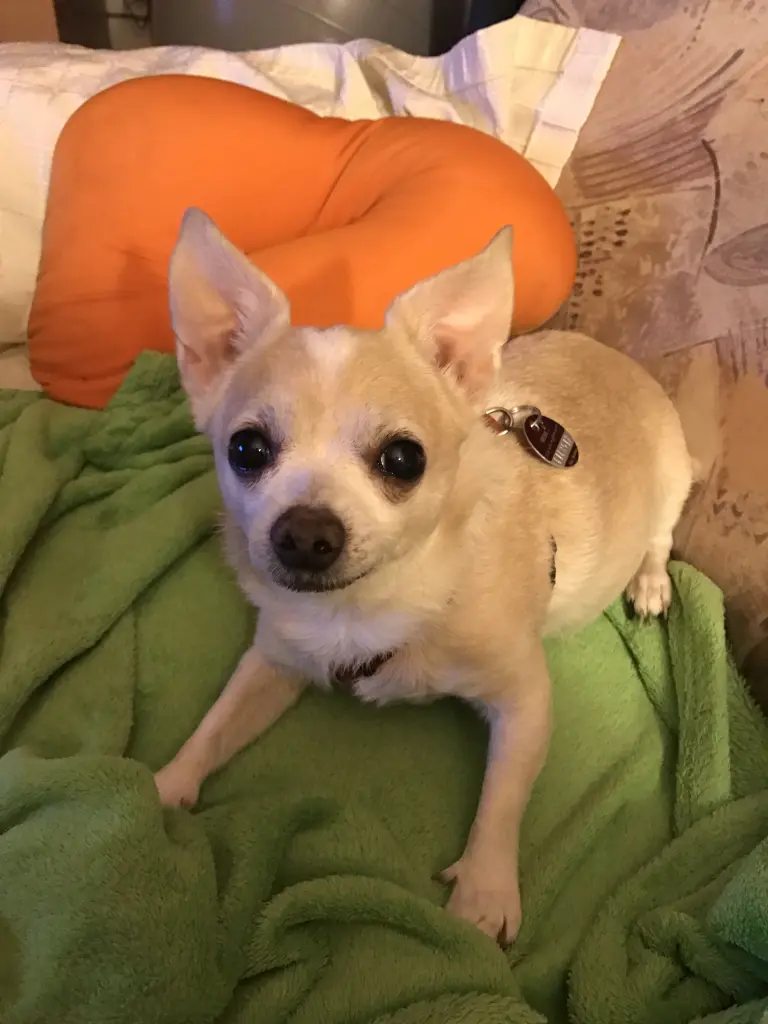 Image from Balu