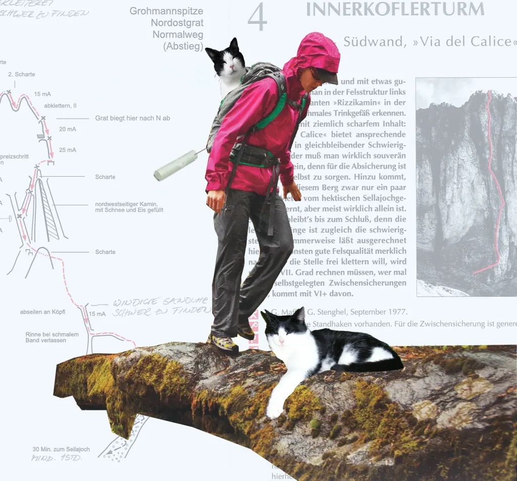 Image from Muckel