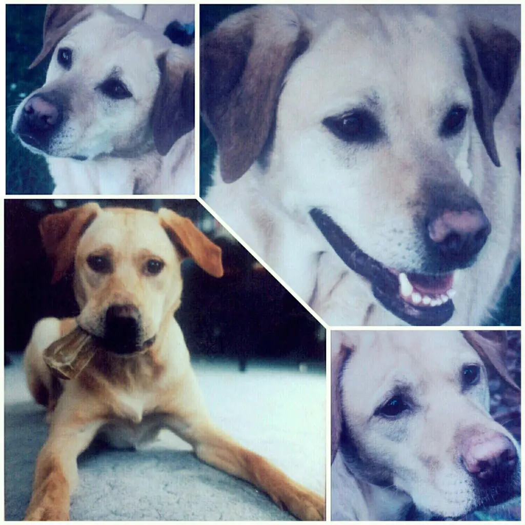 Andachtsbild von Patricia