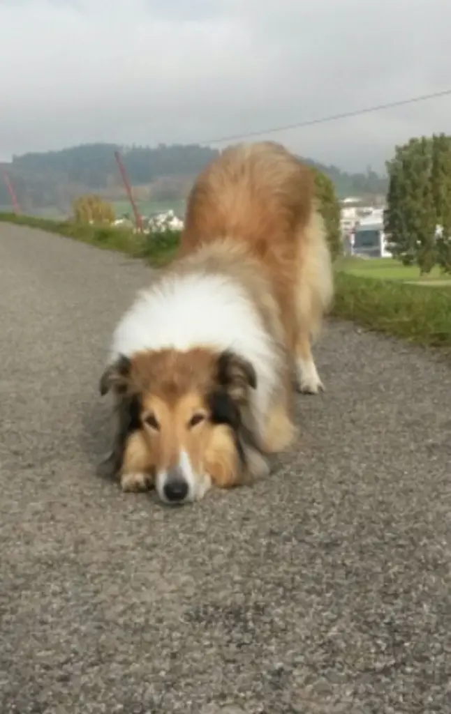 Andachtsbild von Barbara & Jürg mit Sahron Weilenmann
