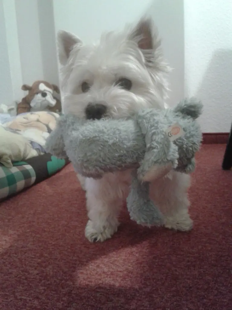 Andachtsbild von Sigrid mit Lili im Herzen