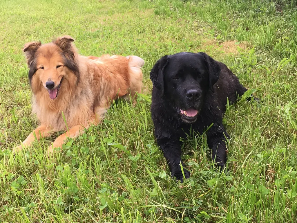 Andachtsbild von Andrea