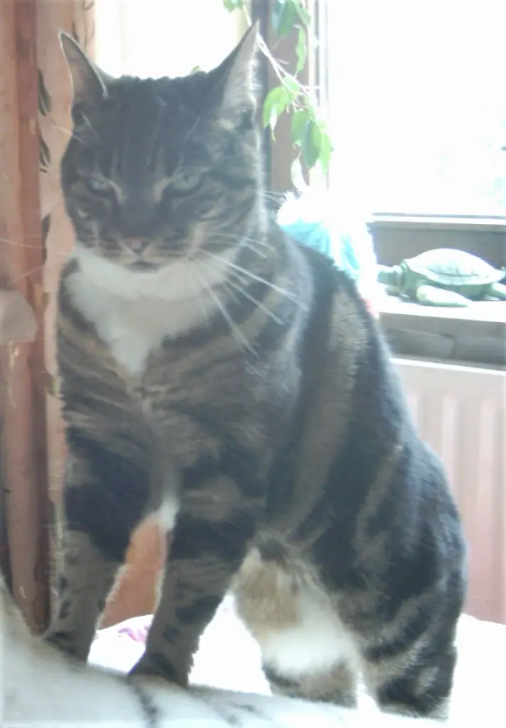 Condolence image of Julia