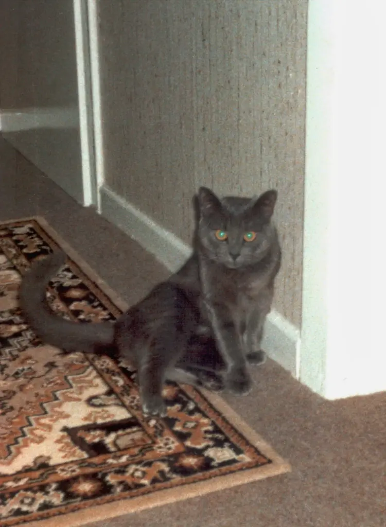 Condolence image of Birgitt