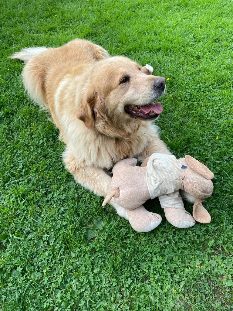 Andachtsbild von Angelika mit Luna im ❤️ + 02.03.2023