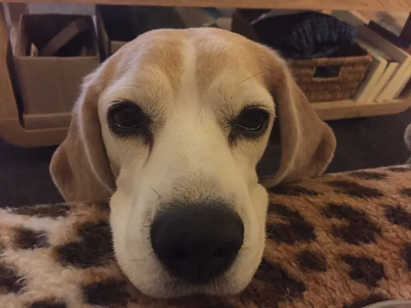 Condolence image of Heidi