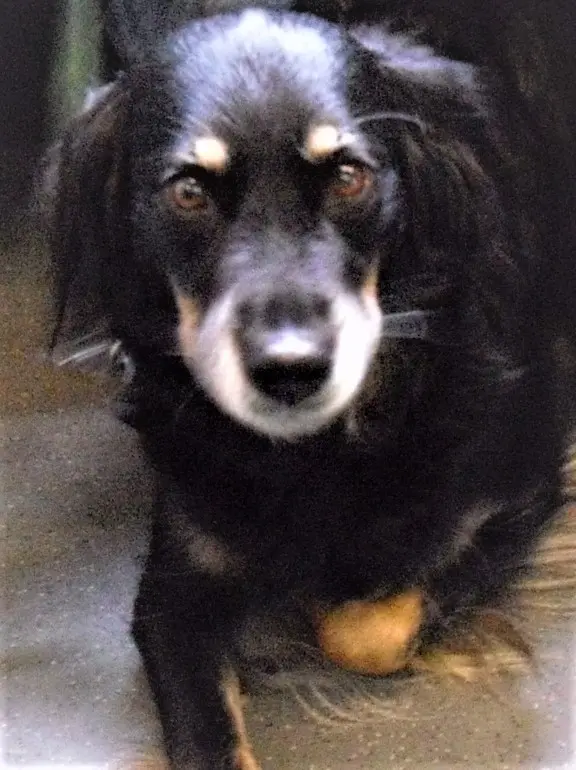 Condolence image of Unbekannt