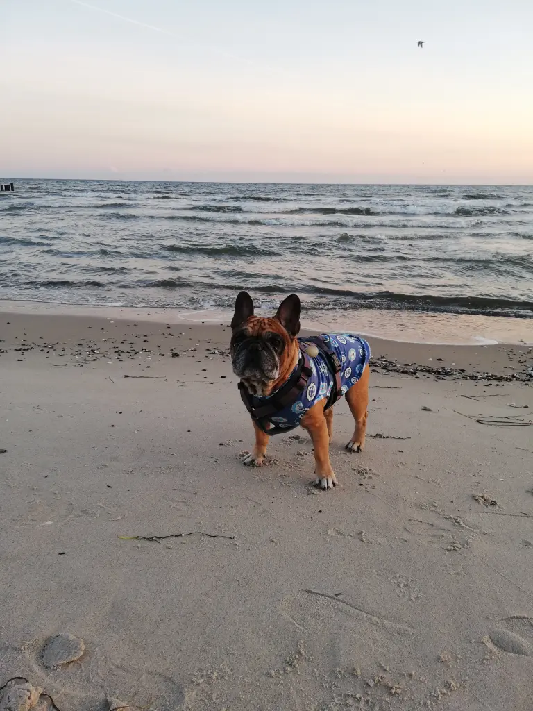 Condolence image of Stefanie  mit Tayler tief im Herzen