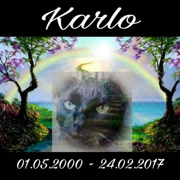 Image from Karlo