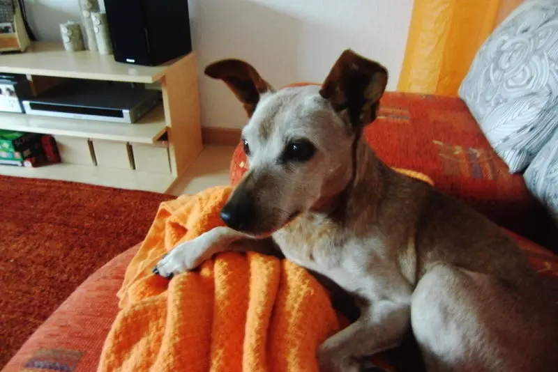 Condolence image of Jutta