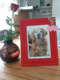 Condolence image of Unbekannt