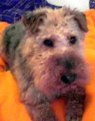 Image from Donja Schatz