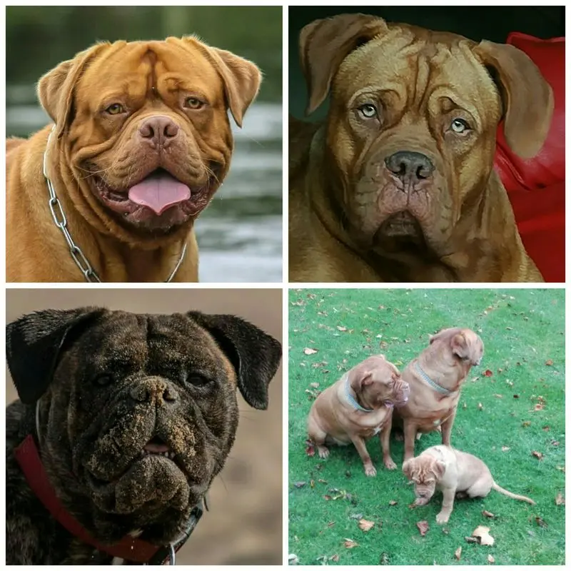 Andachtsbild von Matthias Niebregnal