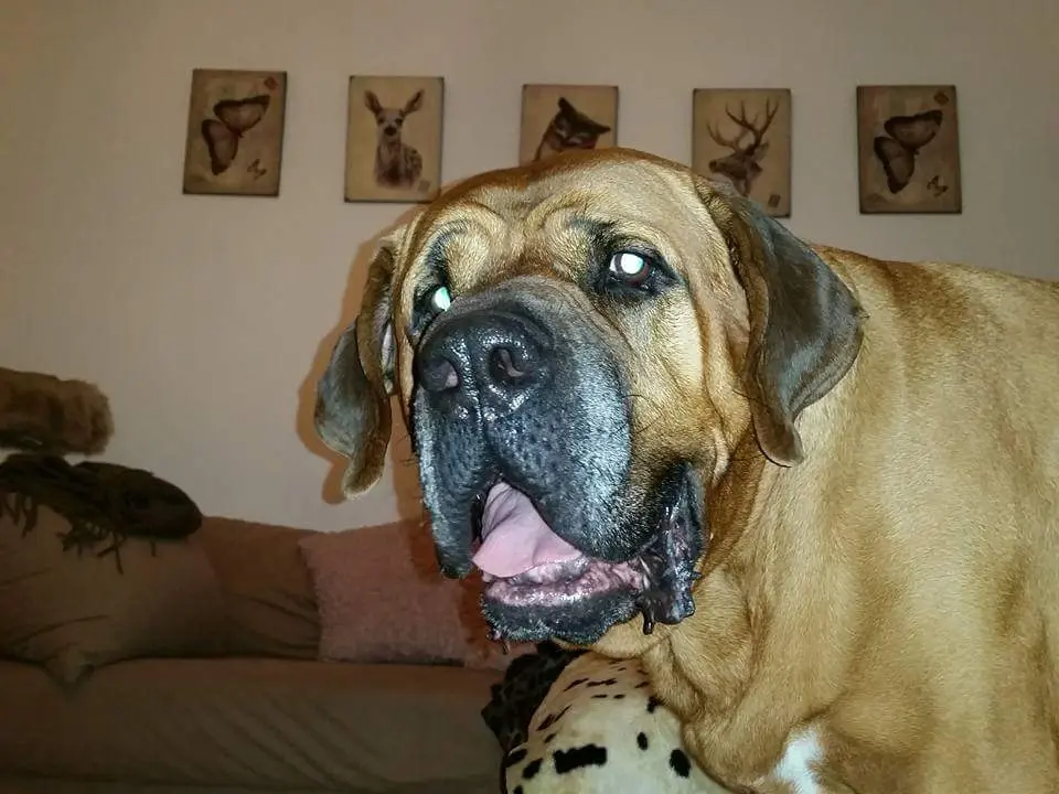 Andachtsbild von Annette