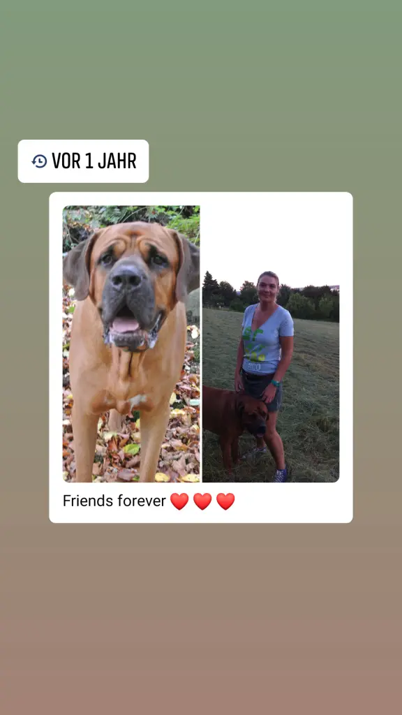 Andachtsbild von Annette