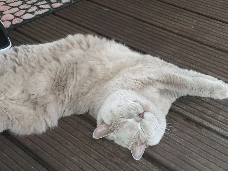 Condolence image of Sabine