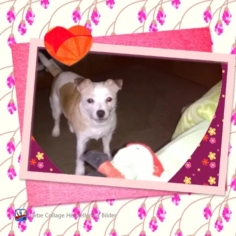 Image from Dottie 