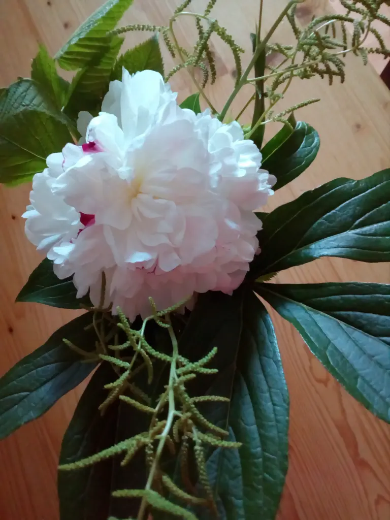 Condolence image of Heidi