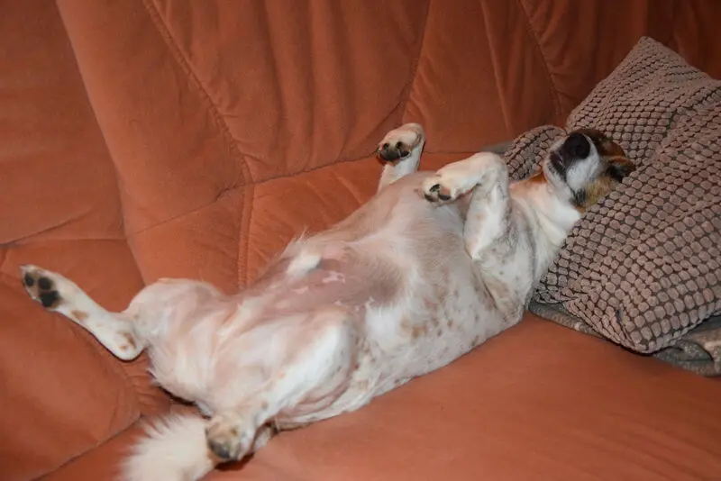 Condolence image of Manuel und Sabrina mit Zeila tief im Herzen 