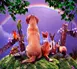 Condolence image of Deine Familie mit Sammy