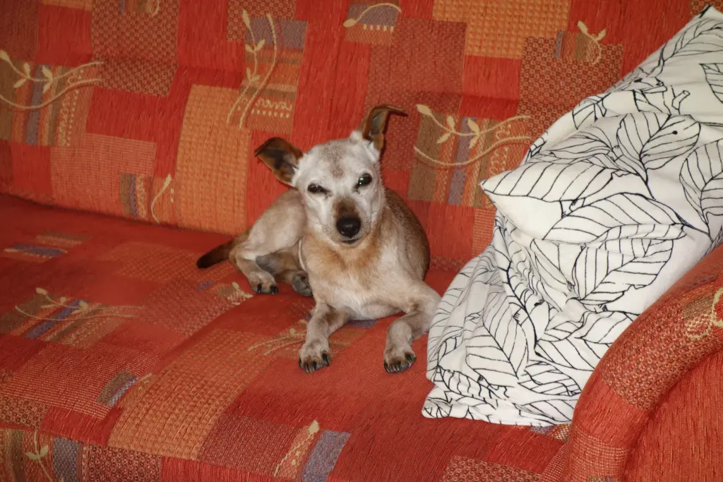 Condolence image of Jutta