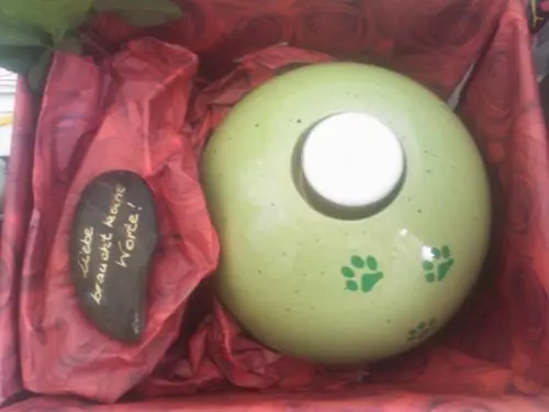 Image from ???Bobby???