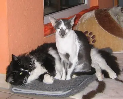 Condolence image of Tania mit Holy
