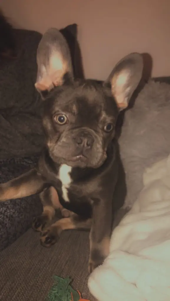 Andachtsbild von Emily