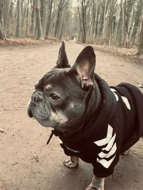 Andachtsbild von Sabrina 