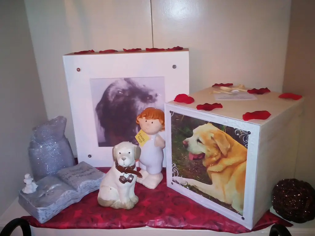 Image from Malco