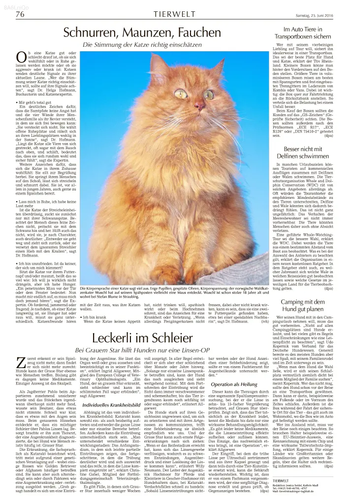 Condolence image of stefan